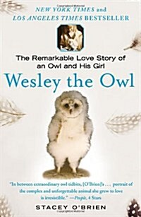 Wesley the Owl: The Remarkable Love Story of an Owl and His Girl (Paperback)