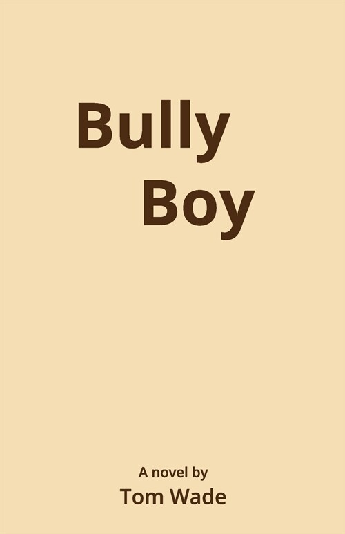 Bully Boy (Paperback)