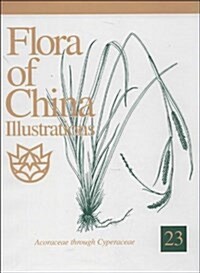 中國植物志圖集第23卷(英文版) (精裝, 第1版)