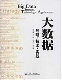 大數据--戰略·技術·實踐 (平裝, 第1版)