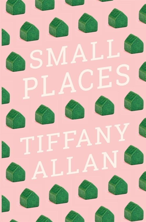 Small Places (Paperback)