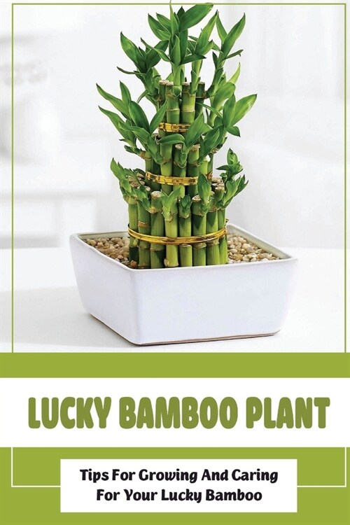 Lucky Bamboo Plant: Tips For Growing And Caring For Your Lucky Bamboo: How To Shape Lucky Pampoo (Paperback)