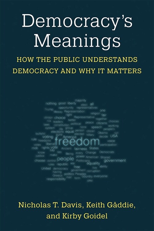 Democracys Meanings: How the Public Understands Democracy and Why It Matters (Hardcover)