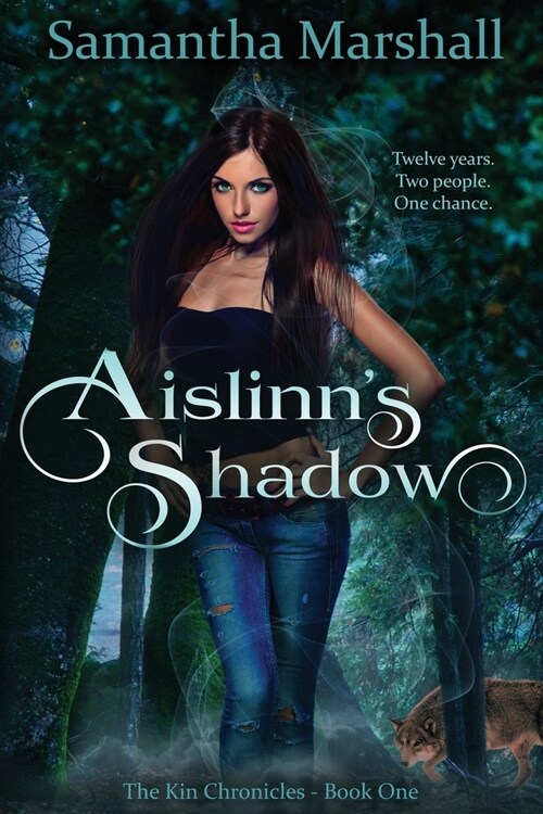 Aislinns Shadow (Paperback)