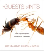 The Guests of Ants: How Myrmecophiles Interact with Their Hosts (Hardcover)