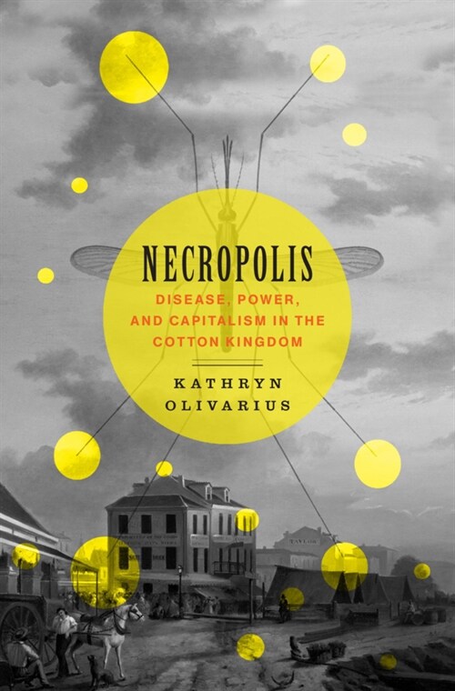 Necropolis: Disease, Power, and Capitalism in the Cotton Kingdom (Hardcover)