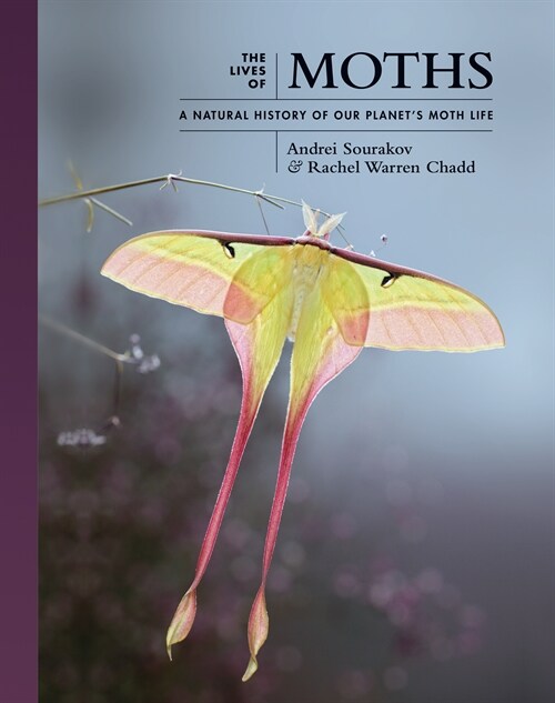 The Lives of Moths: A Natural History of Our Planets Moth Life (Hardcover)