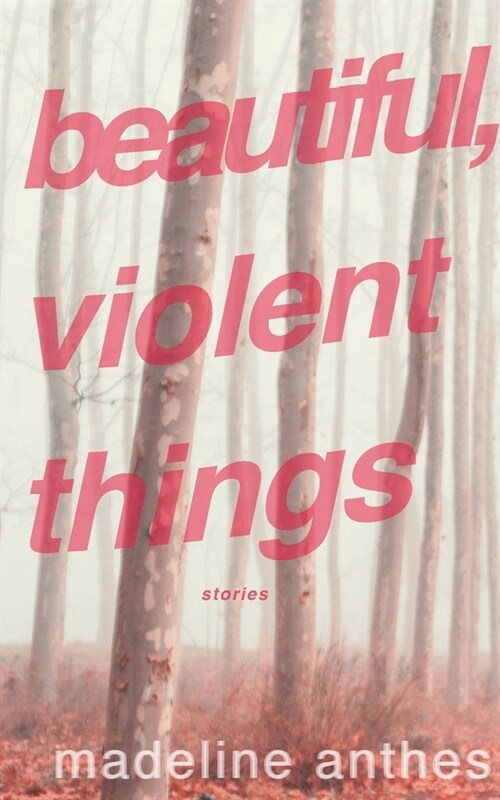 Beautiful, Violent Things (Paperback)