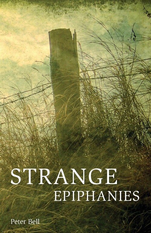 Strange Epiphanies (Paperback)