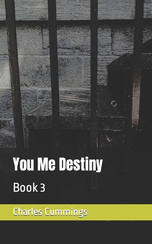 You Me Destiny: Book 3 (Paperback)