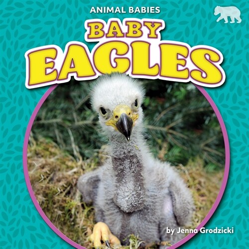 Baby Eagles (Library Binding)