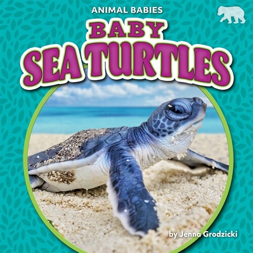 Baby Sea Turtles (Library Binding)