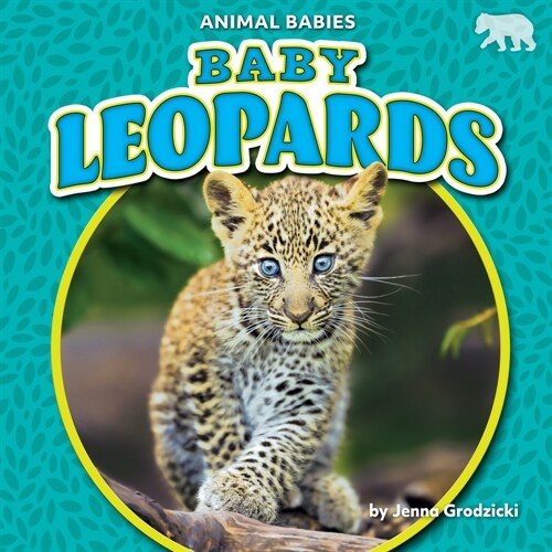Baby Leopards (Paperback)