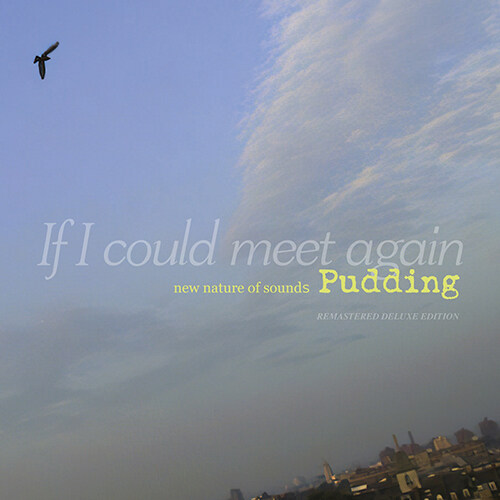 푸딩 - If I Could Meet Again [Remastered Deluxe Edition][2CD]