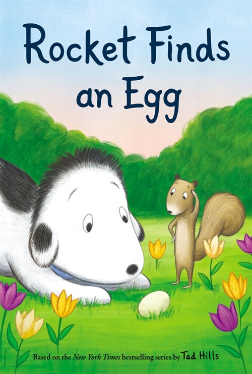 Rocket Finds an Egg (Hardcover)