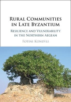 Rural Communities in Late Byzantium : Resilience and Vulnerability in the Northern Aegean (Hardcover)