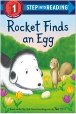 Rocket Finds an Egg (Paperback)