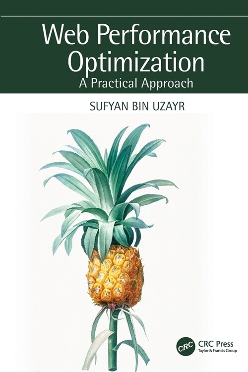 Web Performance Optimization : A Practical Approach (Paperback)