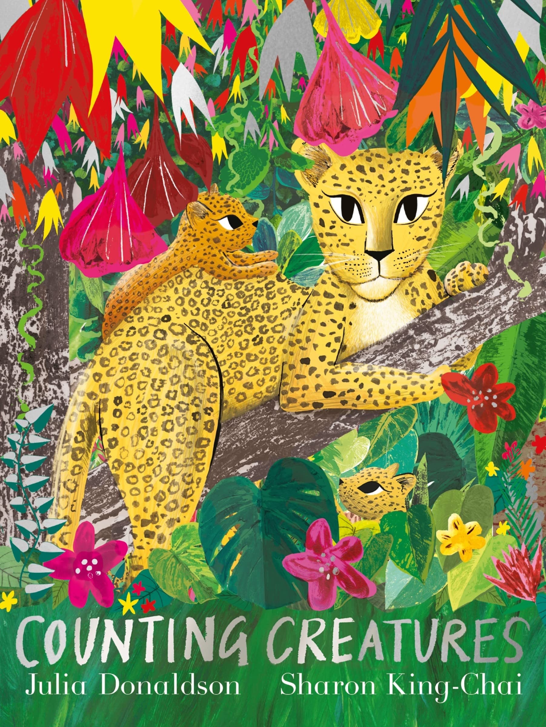 [중고] Counting Creatures (Paperback)