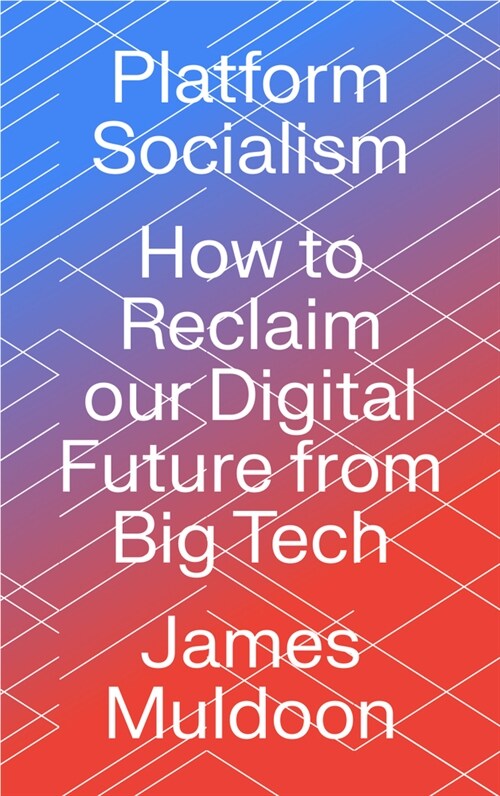 Platform Socialism : How to Reclaim our Digital Future from Big Tech (Paperback)
