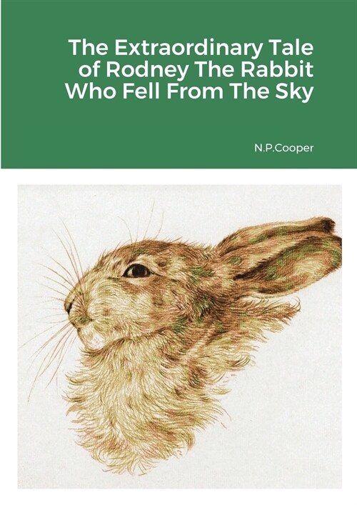 The Extraordinary Tale of Rodney The Rabbit Who Fell From The Sky (Paperback)
