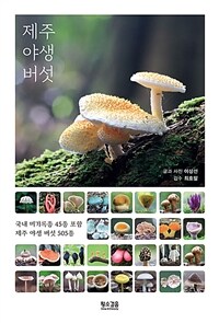 제주 야생 버섯 