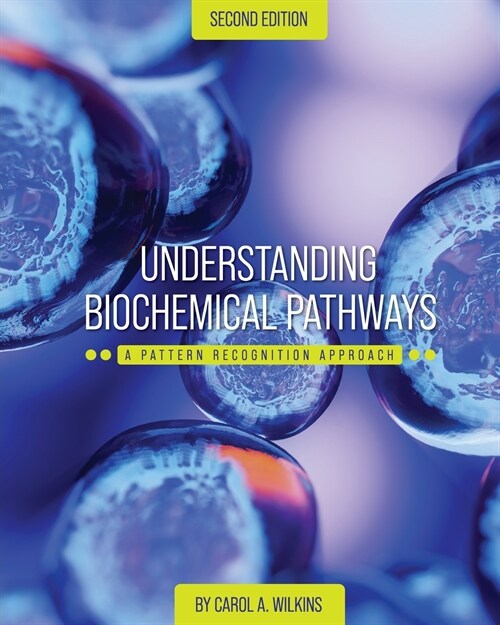 Understanding Biochemical Pathways: A Pattern-Recognition Approach (Paperback)