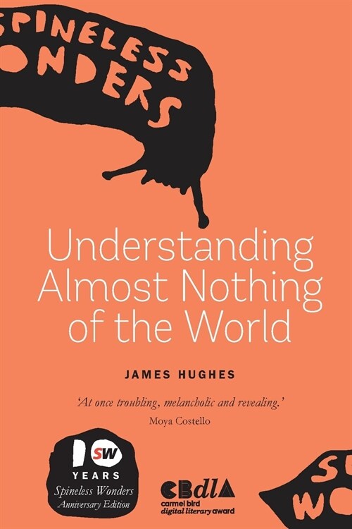 Understanding Almost Nothing Of The World (Paperback)