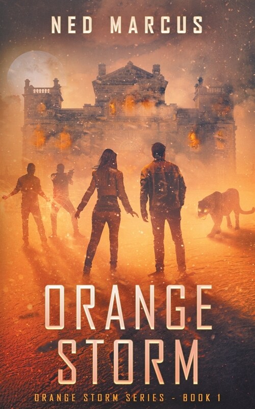Orange Storm (Paperback)