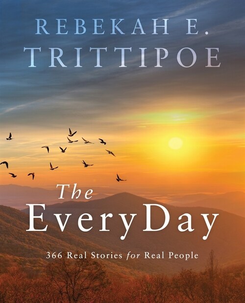 The EveryDay: 366 Real Stories for Real People (Paperback)