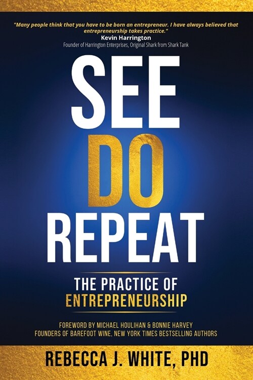 See, Do, Repeat: The Practice of Entrepreneurship (Paperback)