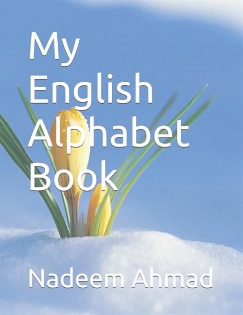 My English Alphabet Book (Paperback)