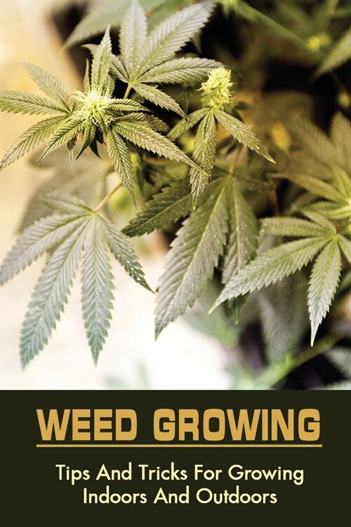 Weed Growing: Tips And Tricks For Growing Indoors And Outdoors: Marijuana Hybrids (Paperback)