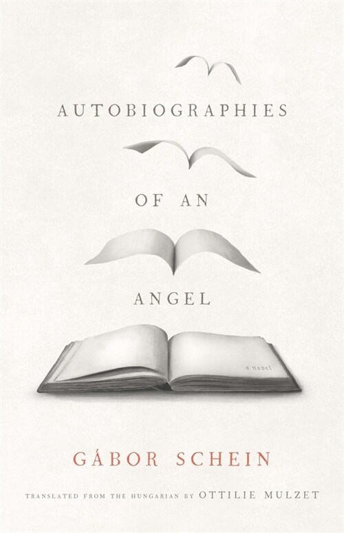 Autobiographies of an Angel (Hardcover)