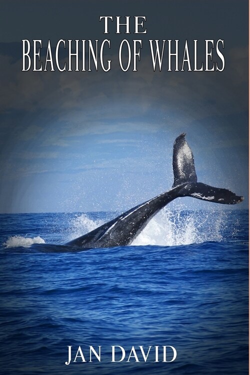 The Beaching of Whales (Paperback)