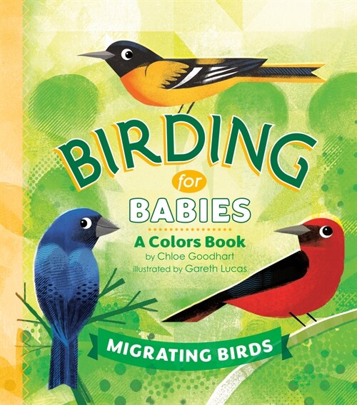 Birding for Babies: Migrating Birds: A Colors Book (Board Books)