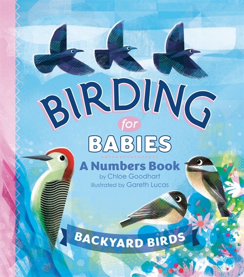 Birding for Babies: Backyard Birds: A Numbers Book (Board Books)