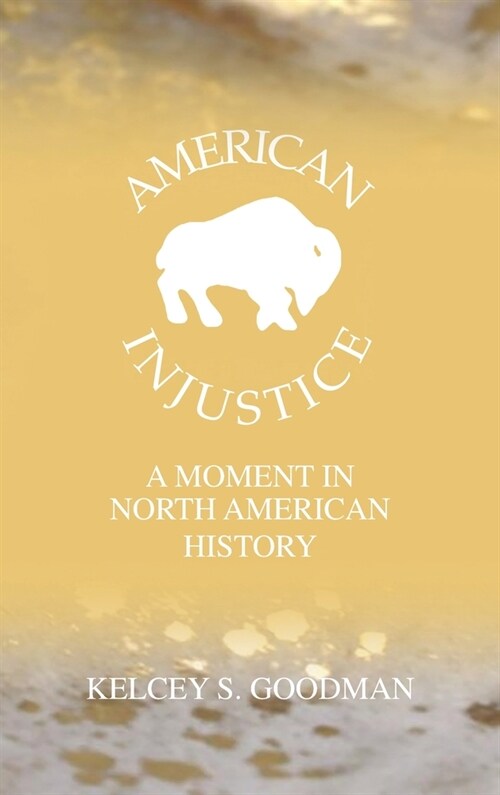 American Injustice: A Moment In North American History (Hardcover, Hardback)