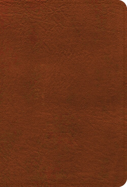 NASB Large Print Compact Reference Bible, Burnt Sienna Leathertouch (Imitation Leather)