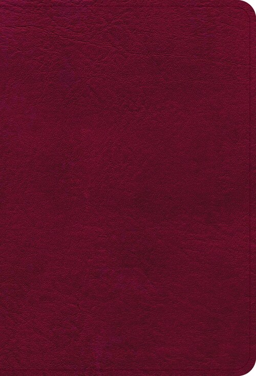 NASB Large Print Compact Reference Bible, Burgundy Leathertouch (Imitation Leather)