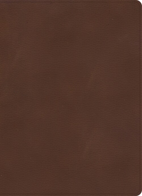 KJV Single-Column Wide-Margin Bible, Brown Leathertouch (Imitation Leather)