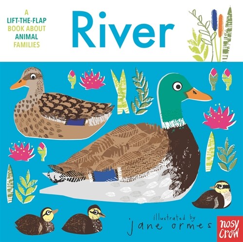 Animal Families: River (Board Books)
