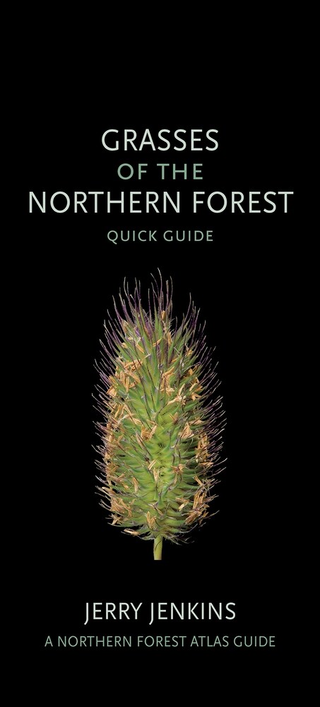 Grasses of the Northern Forest: Quick Guide (Other)