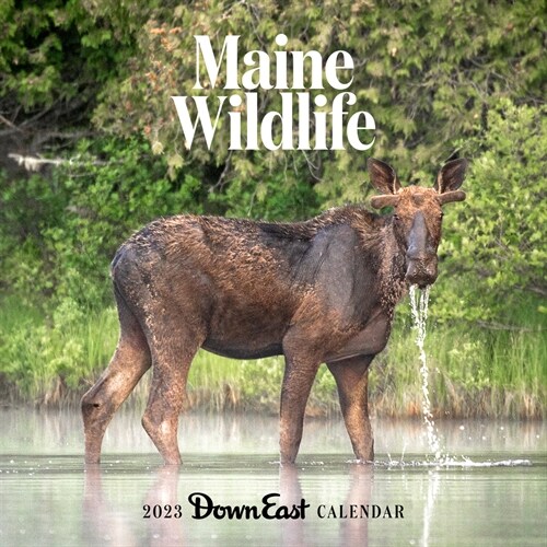 2023 Maine Wildlife Wall Calendar (Wall)