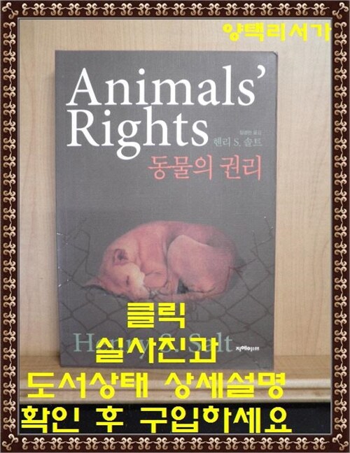 [중고] Animals’ Rights 동물의 권리