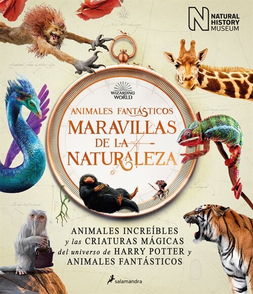 Animales Fant?ticos Maravillas de la Naturaleza / Fantastic Animals, Wonders of Nature (Hardcover)