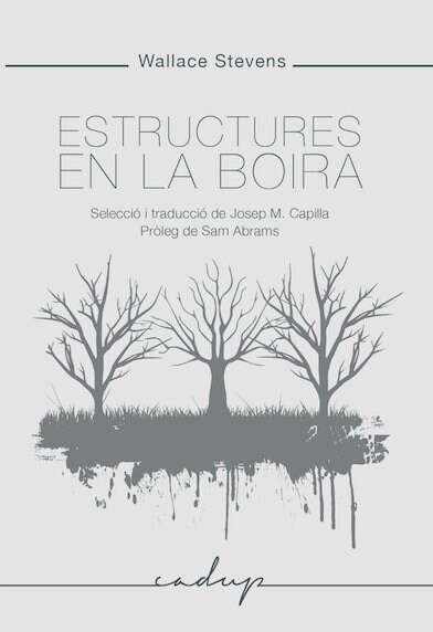 Estructures en la boira (DH)