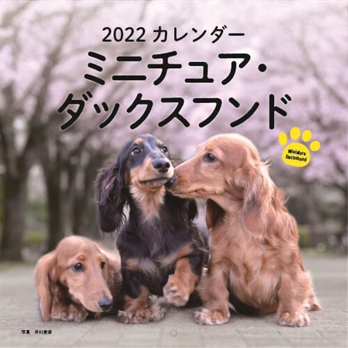 ミニチュア·ダックスフンドカレンダ- (2022)