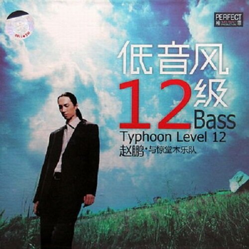 [수입] Zhao Peng - 12 Bass Typhoon Level