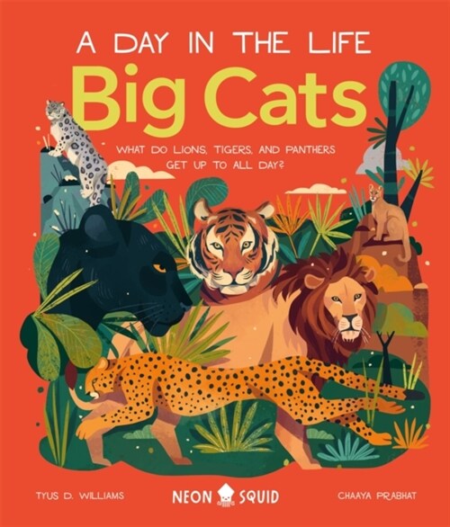 Big Cats (A Day in the Life) : What Do Lions, Tigers and Panthers Get up to all day? (Hardcover)